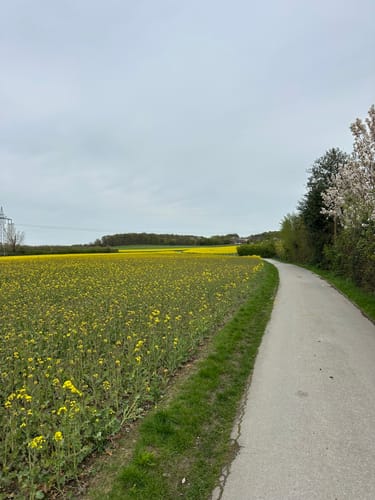 Kettwig und Wälder bei Hugenpoet und Landsberg