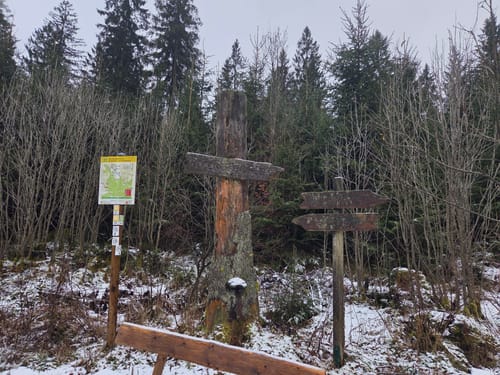 Perlenbachtal ab Höfener Mühle