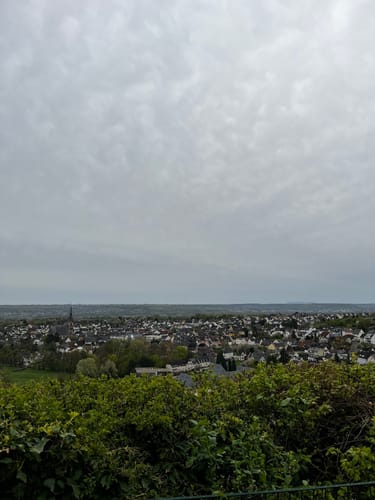 Ruine Scharfenstein und NSG Weihersberg bei Kiedrich ab Eltville