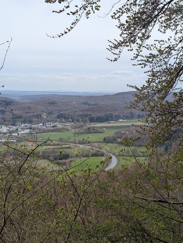 Bad Driburg: Waldwelten