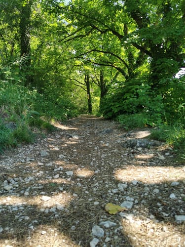 Singletrail von Weißenkirchen nach Eichstätt
