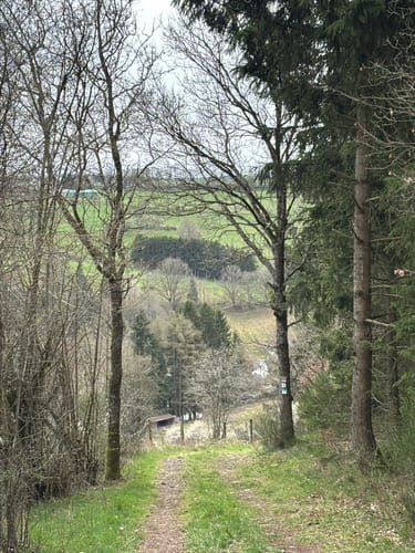 EifelSchleife Wildenburgsteig