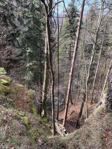 Kochel - Lainbachfall