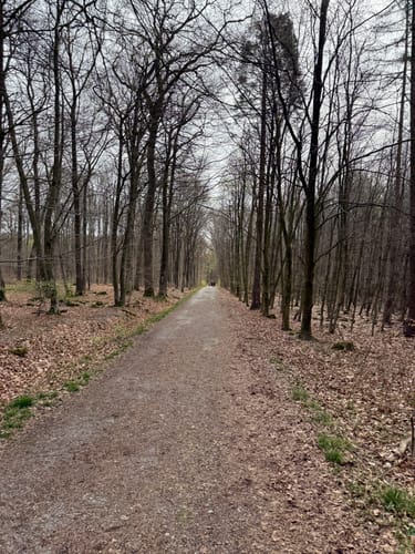 Durch den Tiergarten zum Schloss (Raesfeld A1)