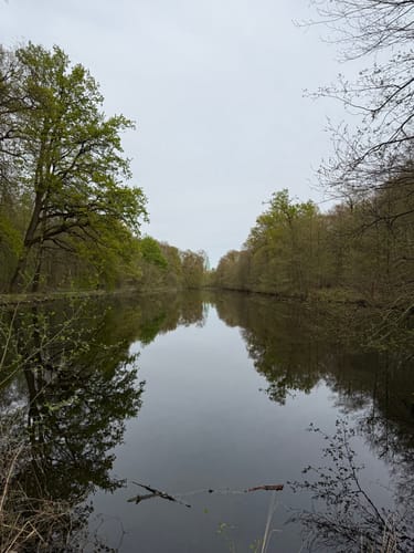 Durch den Tiergarten zum Schloss (Raesfeld A1)