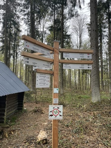 Rothaarsteig Etappe 4: Schanze - Rhein-Weser-Turm