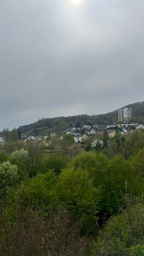 Von Metternich rundum der Mosel
