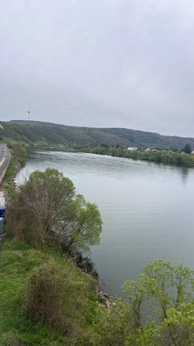 Von Metternich rundum der Mosel
