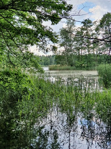 Teichrunde bei Mönau