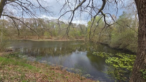 Hansteinweiher und Mainufer ab Bahnhof Mühlheim-Dietesheim