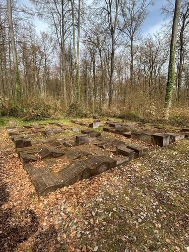 Nieheimer Kunstpfad