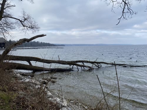 Route 26: Rund um den Starnberger See