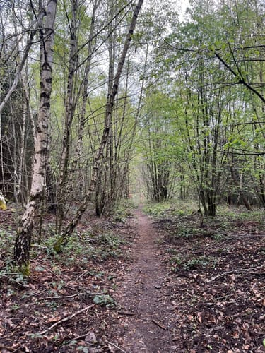 Hartfüßler Trail 30km