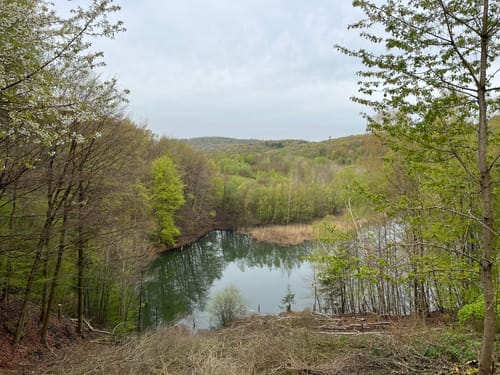 Hartfüßler Trail 30km