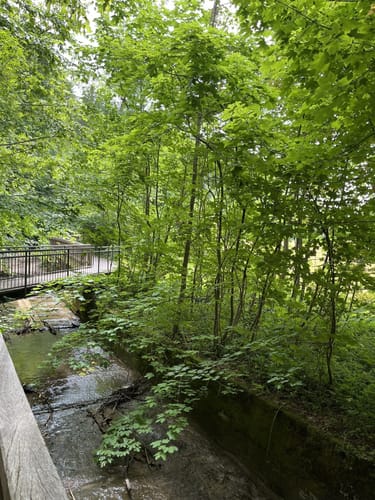 Maisinger Schlucht Rundweg
