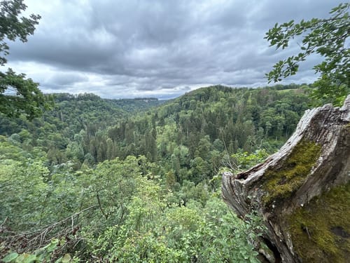 Schluchtensteig Etappe 1: Stühlingen - Blumberg