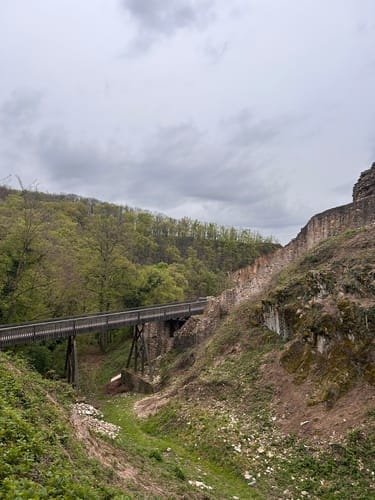 Rundwanderweg Dossenheim 3