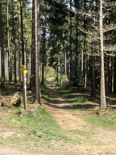 Varusturm - Bardenburg - Dörenberg