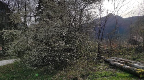 Pflasterbachhörndl - Rabenstein Nord - Rabenstein Süd