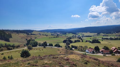 Schluchtensteig Etappe 5: St. Blasien - Todtmoos