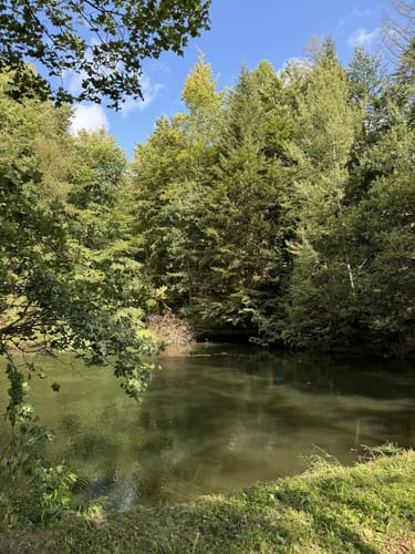 Lantenbach Rundweg A4
