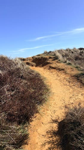 Rundweg am Morsum Kliff