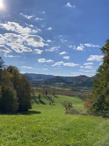 Reichenbach - Brandeckkopf
