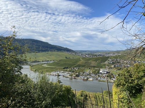 Seitensprung Mehringer Schweiz