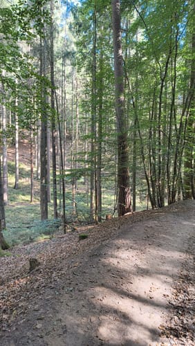 Auf den Hasselbrack