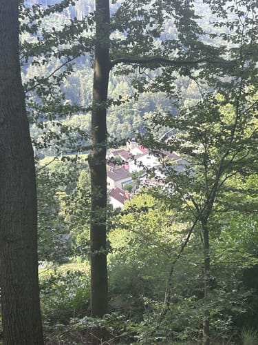 Rundwanderweg Neckarsteinach Kaisereiche 9: Philosophen-Weg