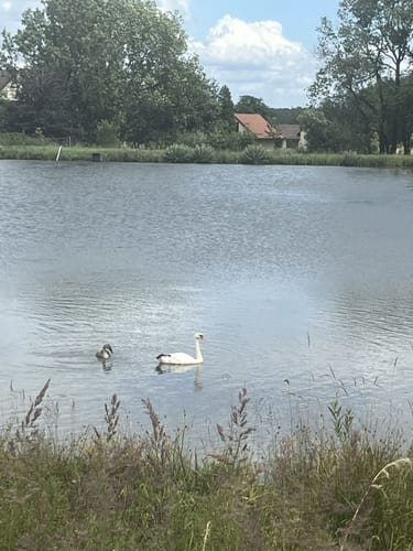 Drei-Seen-Tour Freiensteinau (Premiumwanderweg)