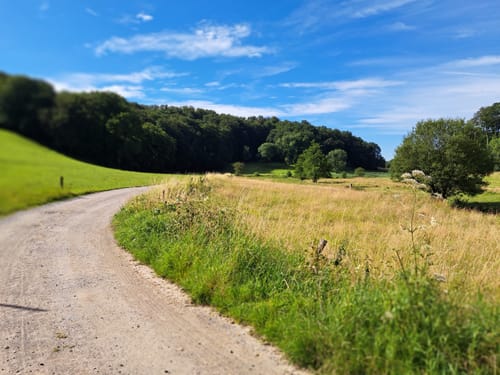 Rotthäuser Bachtal vom Naturfreunde Haus