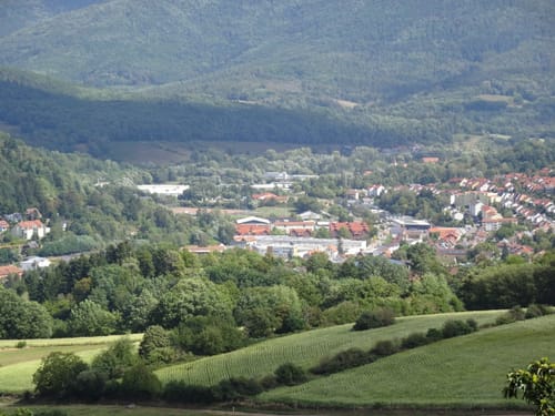 Richard-Löwenherz-Weg (Premiumwanderweg)