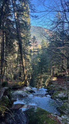 Plankensteinrunde (Blankenstein) [CLOSED]