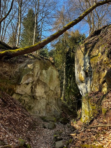 Vier-Berge-Tour (Traumpfad)