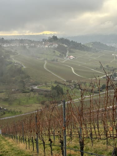 Dreibergerunde Kernen - Kappelberg - Württemberg