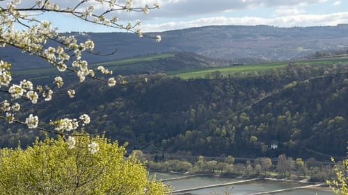Rhein-Wisper-Glück (Premiumwanderweg)