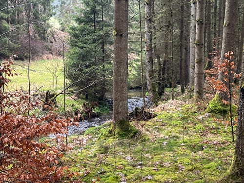 Durchs Rehbachtal