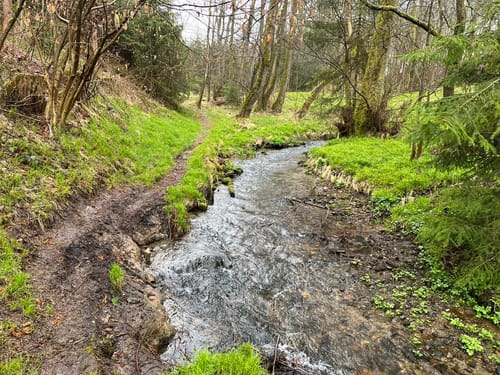 Durchs Rehbachtal