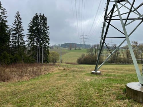 Durchs Rehbachtal
