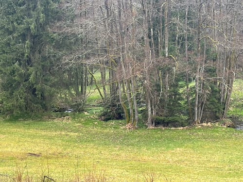 Durchs Rehbachtal