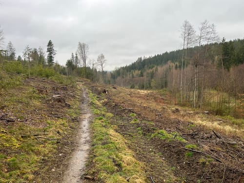 Durchs Rehbachtal