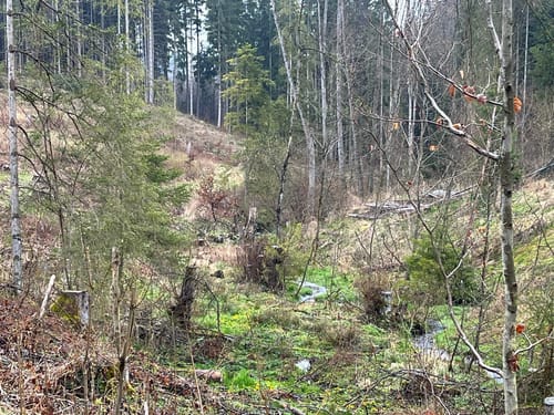 Durchs Rehbachtal