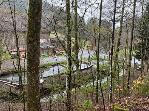 Durchs Rehbachtal