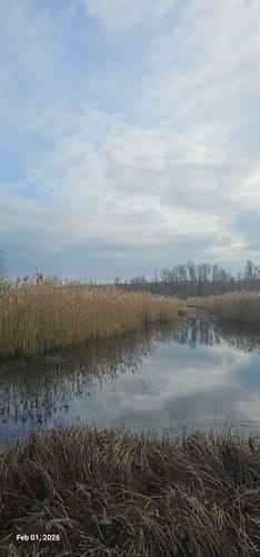 Tackenbendener-Runde (Premium-Spazierwanderweg)