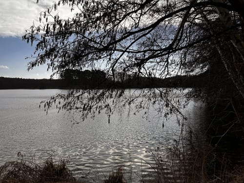 Die Maxsee-Rundtour