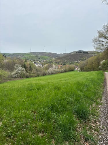 Rothenbühlsteig