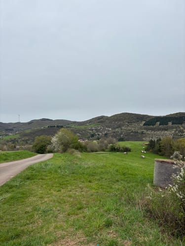 Rothenbühlsteig