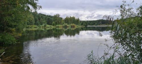 Vom Birkensee durch die Röthenbachklamm