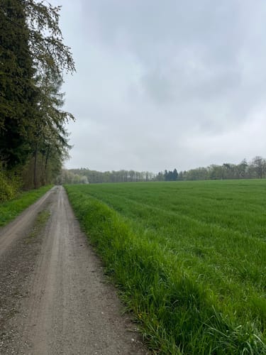 Steinerner Tisch (kleine Runde)